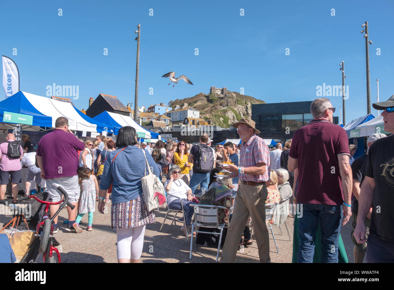 Hastings, East Sussex, Regno Unito. Xiv Sett 2019. Seagull sorprese un visitatore a Hastings annuale Festival di frutti di mare sulla Città Vecchia di Stade. Carolyn Clarke/Alamy Live News Foto Stock