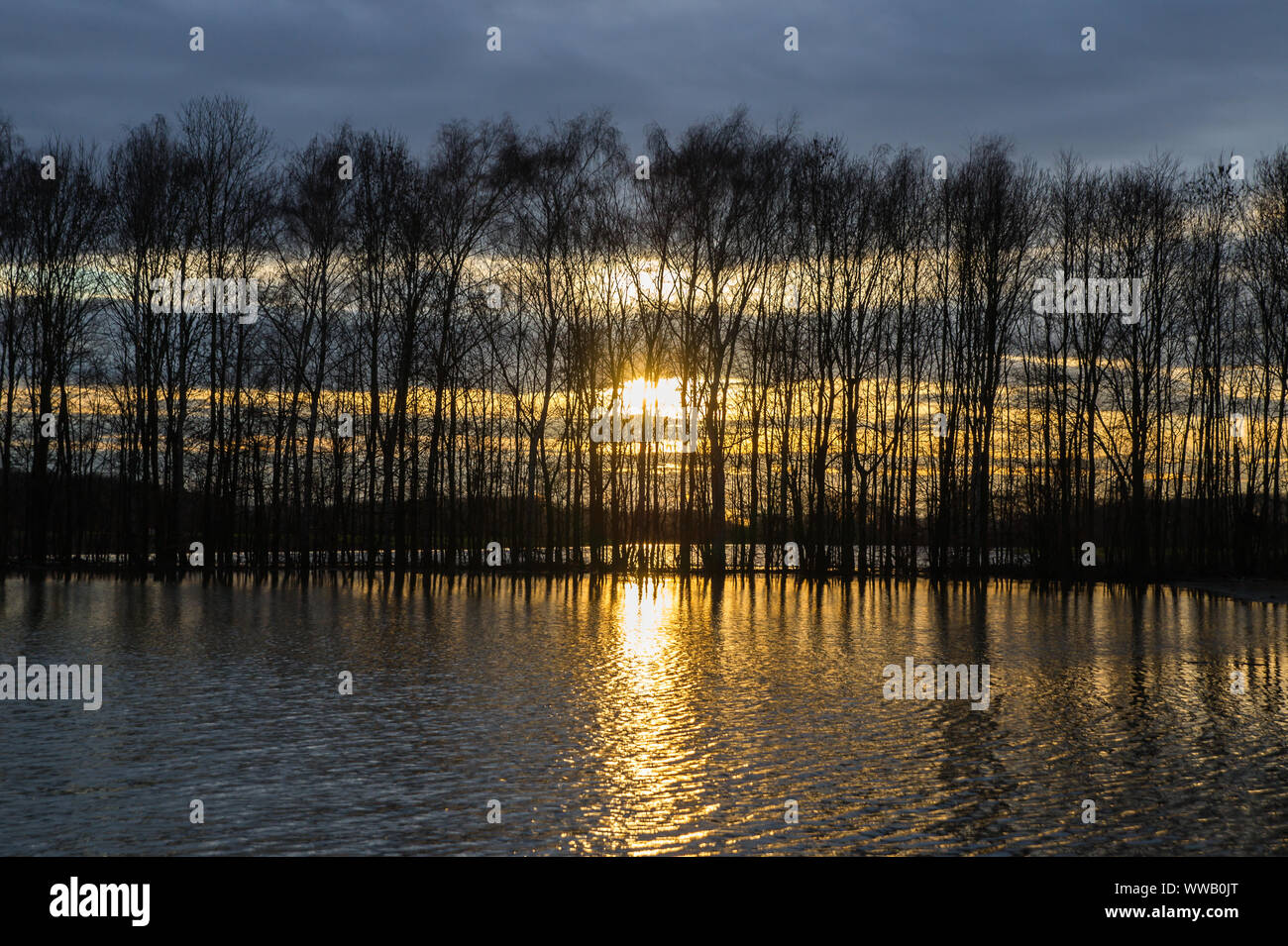 Campi allagati riflettendo la mattina presto sun. Il Reno è traboccato le sue rive. Foto Stock