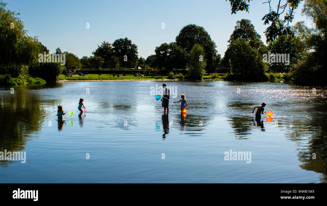 Fordingbridge, New Forest. Hampshire, Regno Unito. 14th Settembre 2019. Glorioso clima estivo a metà settembre con una giornata piena di sole e temperature calde. Un gruppo di bambini sorvegliati cerca di catturare i pesci del tiddler nel fiume Avon con le reti da pesca dai colori luminosi alla fine delle canne. Foto Stock