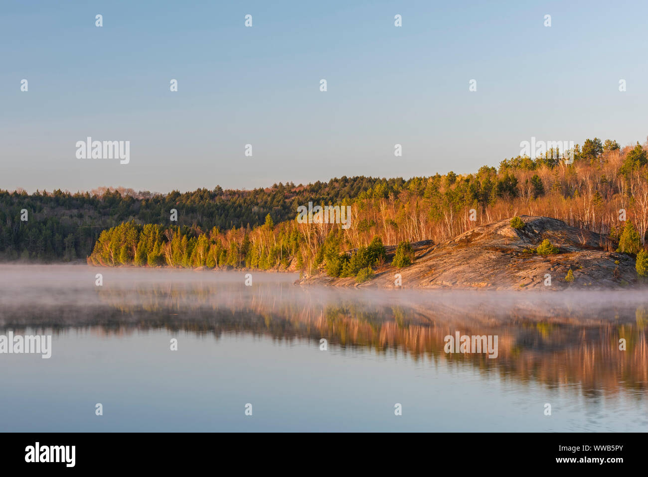 Inizio mattina di primavera nebbie su Simon sul Lago Maggiore Sudbury, Ontario, Canada Foto Stock