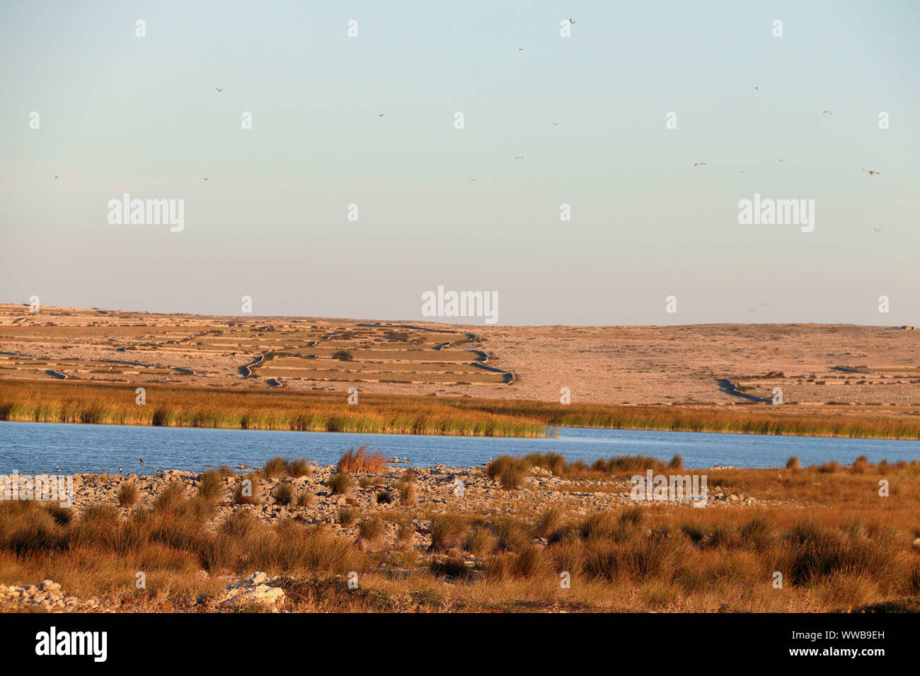 Un lago ricoperta da erba in un ambiente di pietra Foto Stock