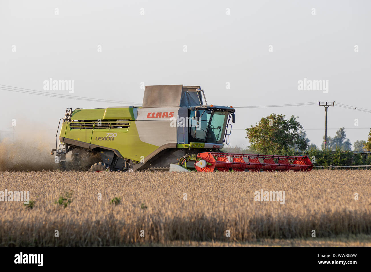 Claas Lexion 750TT Mietitrebbia al lavoro Foto Stock