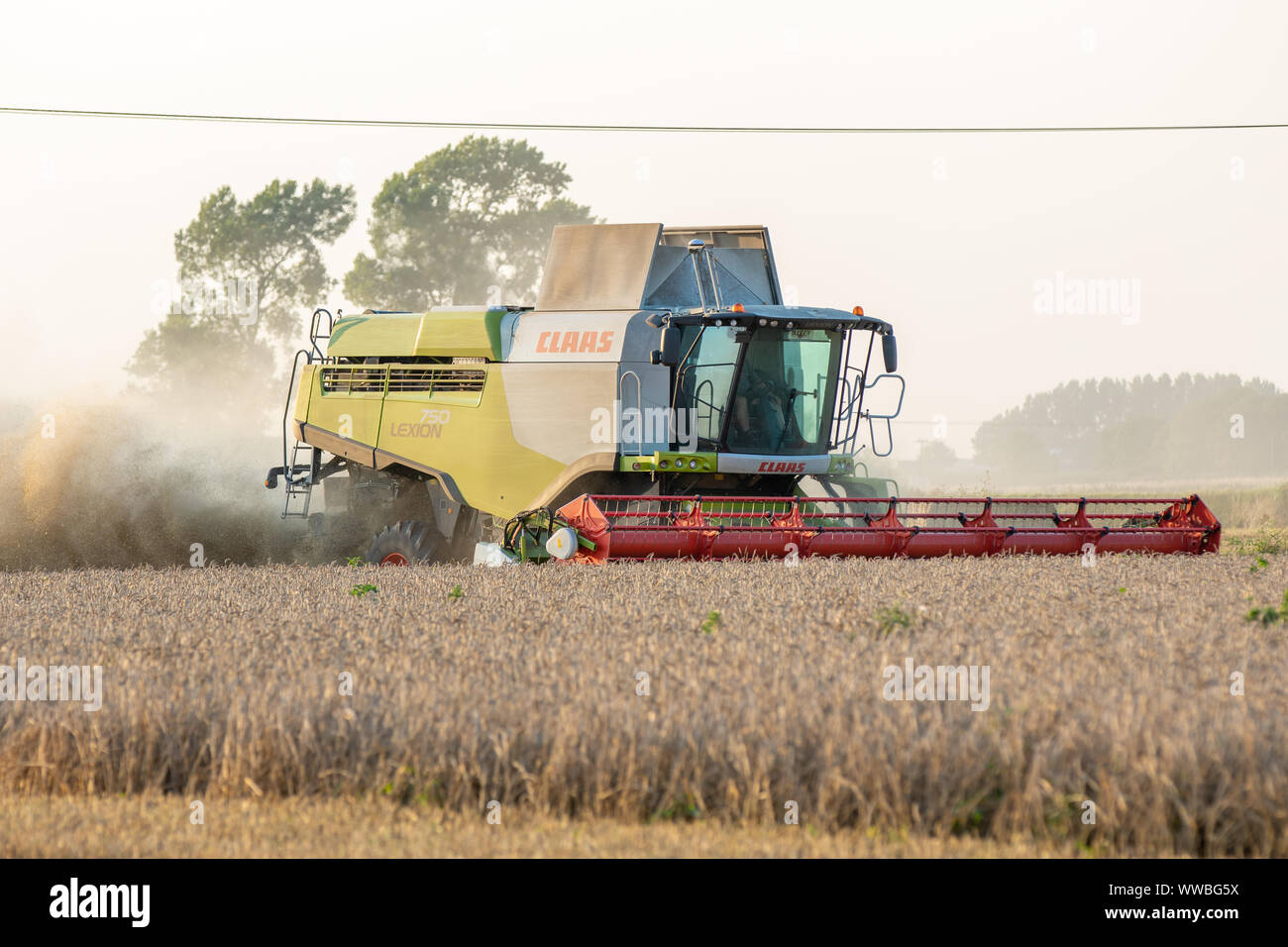 Claas Lexion 750TT Mietitrebbia al lavoro Foto Stock