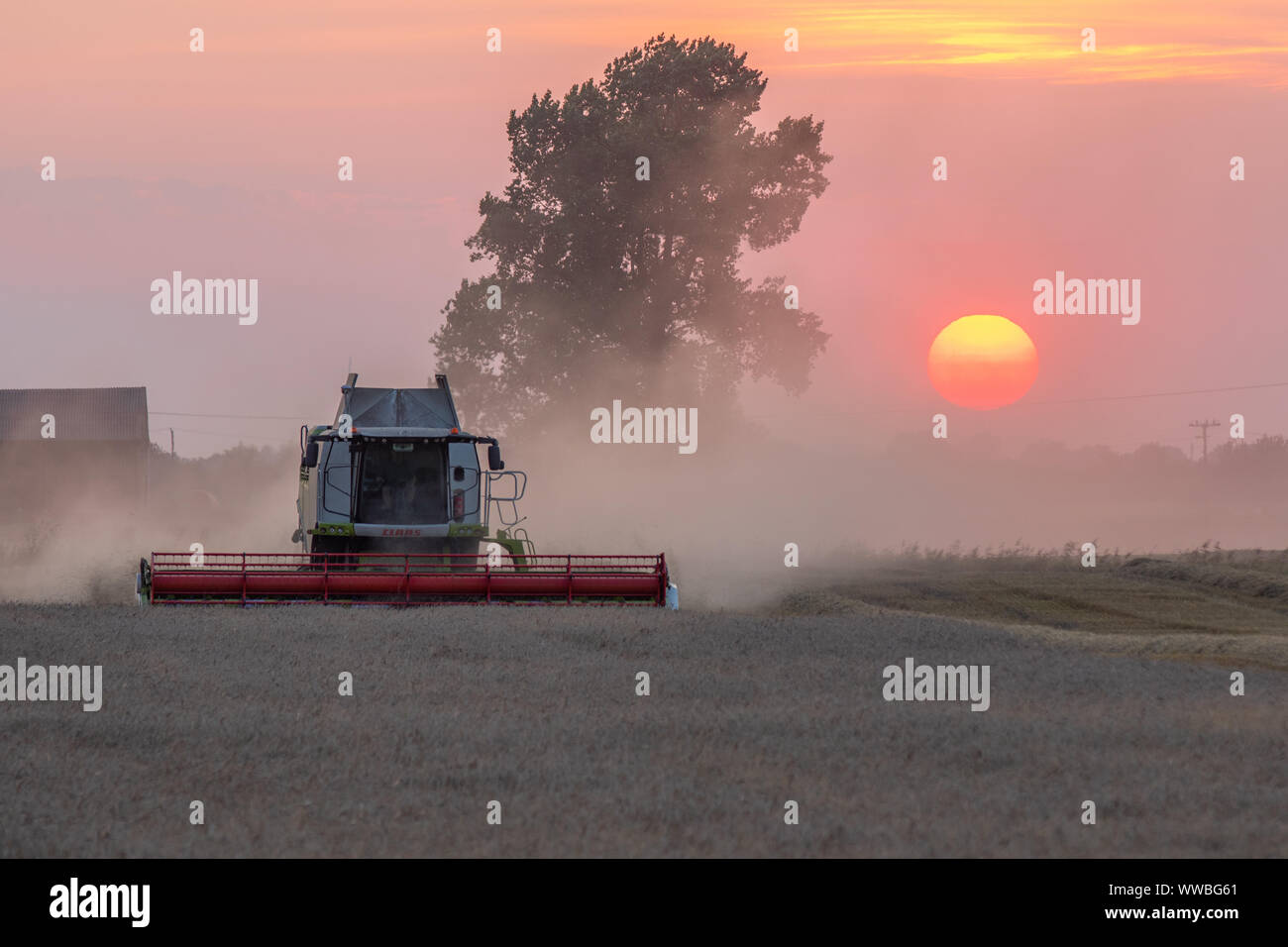 Claas Lexion 750TT mietitrebbia lavora al tramonto Foto Stock