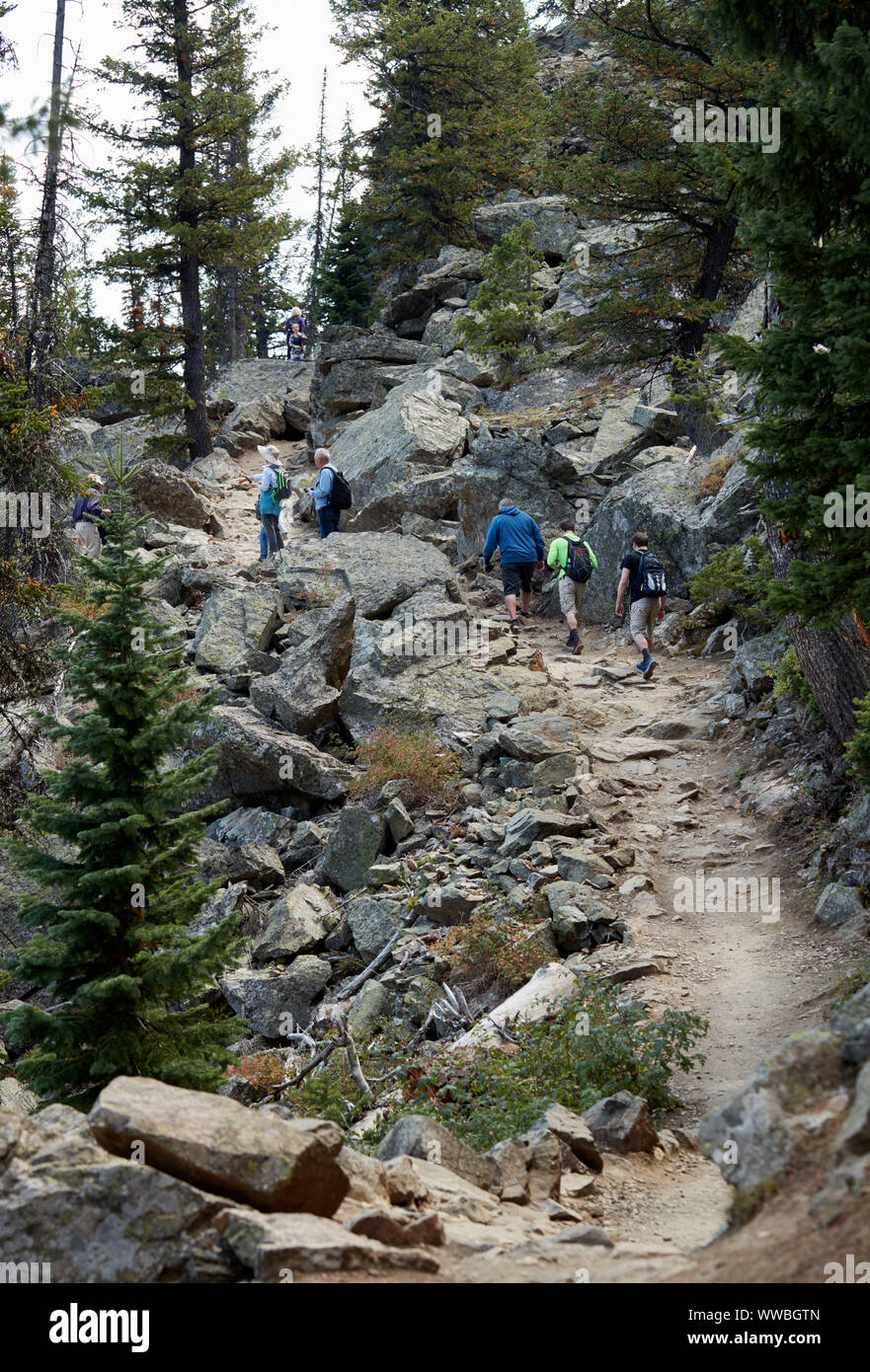 Gli escursionisti sulla cascata Canyon Trail nel Parco Nazionale di Grand Teton Foto Stock