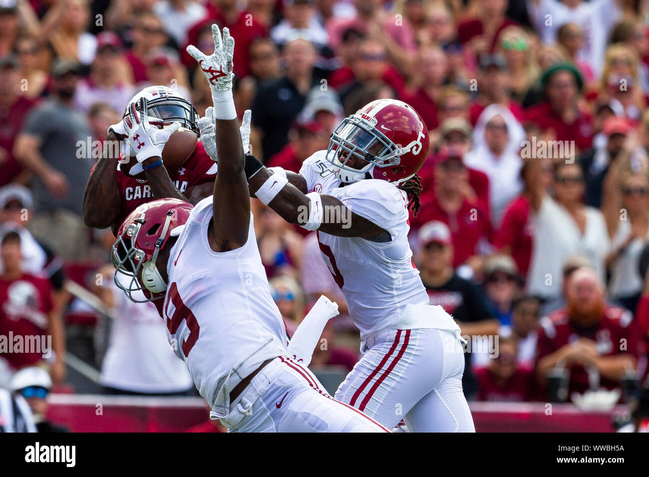 La Columbia, SC, Stati Uniti d'America. Xiv Sep, 2019. il matchup NCAA a Williams-Brice Stadium in Columbia, SC. (Scott Kinser/Cal Sport Media) Credito: csm/Alamy Live News Foto Stock