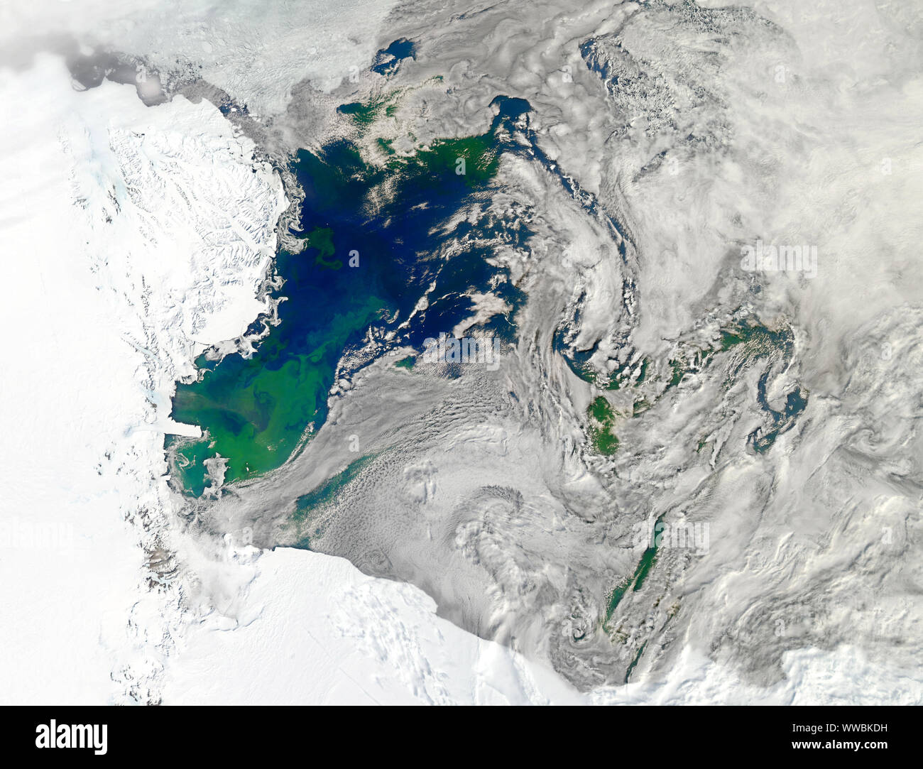 Il Mare di Ross, Antartide, 22 gennaio 2011, bloom fitoplanctonico, dalla NASA/DPA Foto Stock