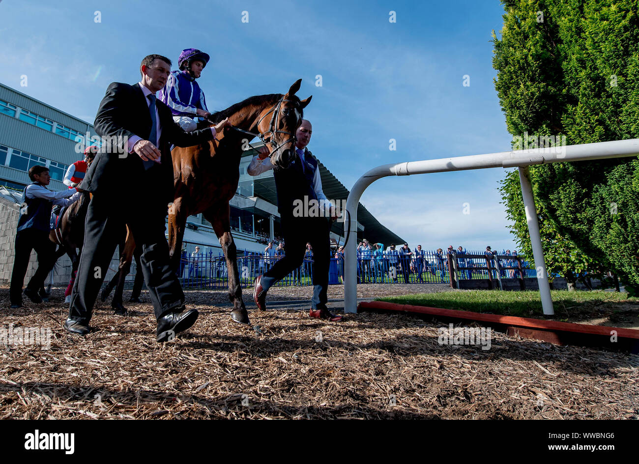 Dublino, Irlanda. Xiv Sep, 2019. 14 settembre 2019 : magica #5 teste in pista per il QIPCO campionessa irlandese picchetti durante l Irish Champions giorno del fine settimana uno a Leopardstown Racecourse a Dublino, Irlanda. Scott Serio/Eclipse Sportswire/CSM/Alamy Live News Foto Stock