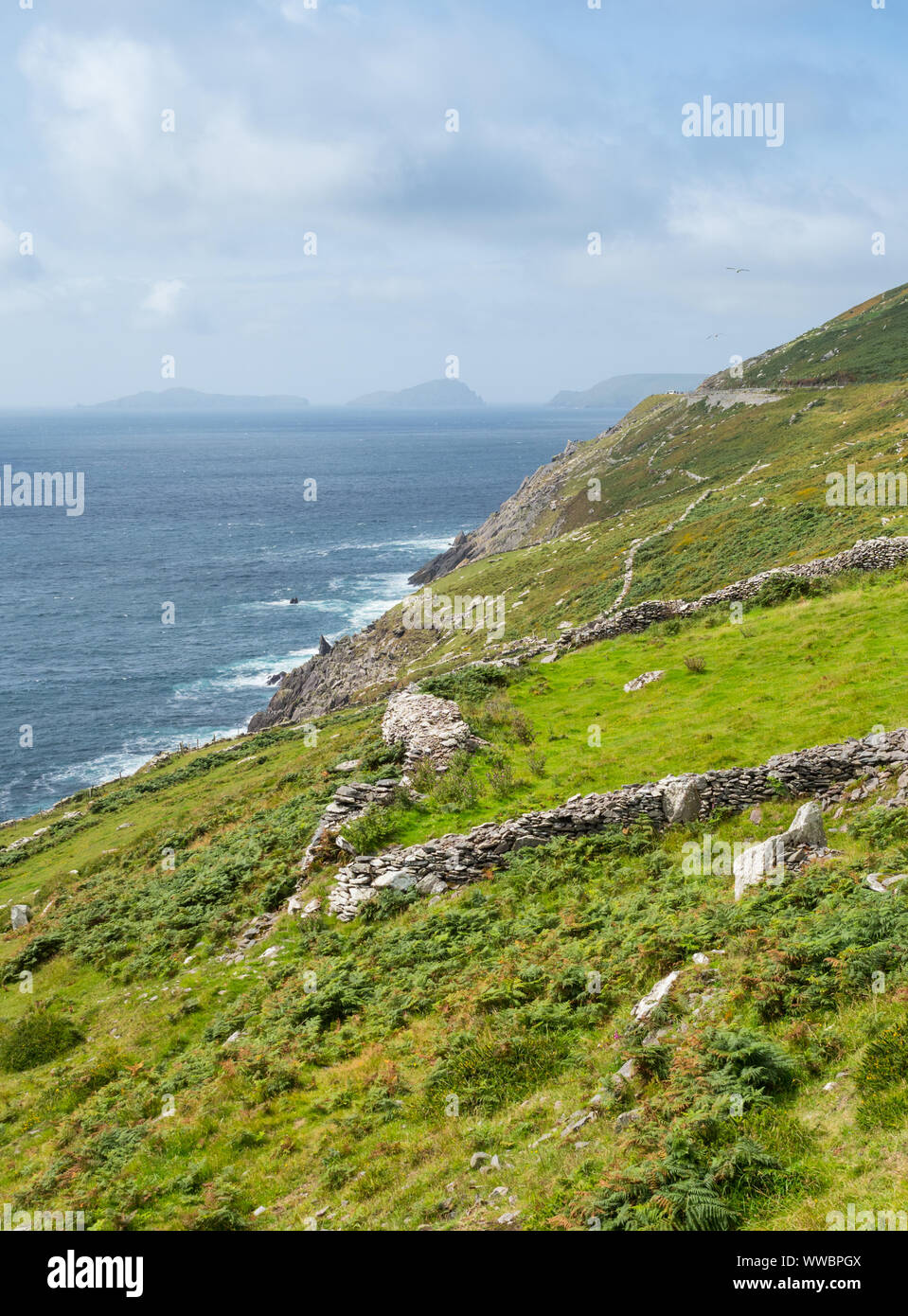 Paesaggi costieri lungo la penisola di Dingle unità costiere nella Contea di Kerry, Irlanda. Foto Stock