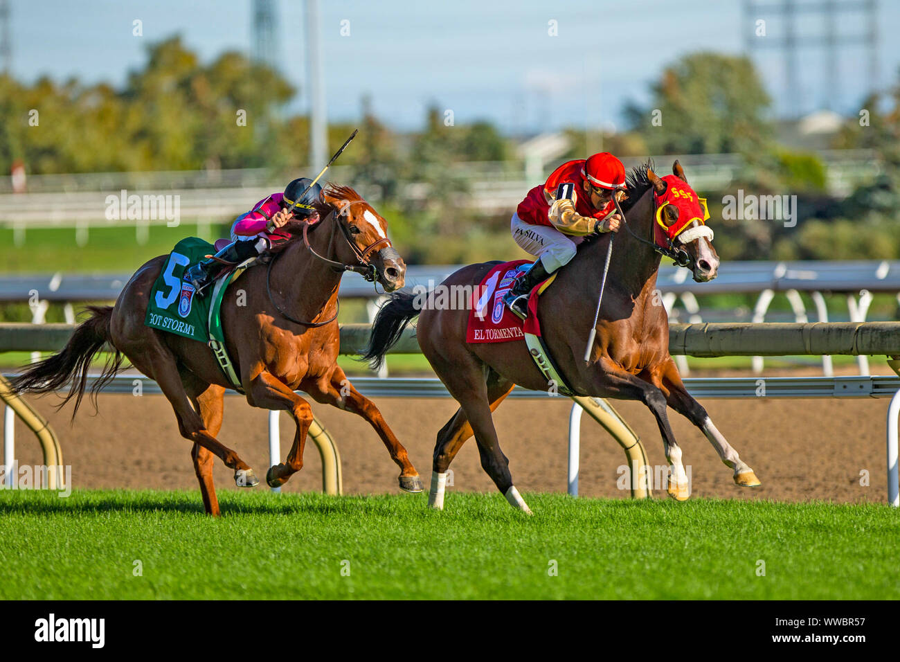 Toronto, Ontario, Stati Uniti d'America. Xiv Sep, 2019. TORONT, CANADA-SEP 14: El Tormenta #1, guidato dalla Eurico da Silva, vince il Woodbine Mile a Woodbine Race Track su Settembre 14, 2019 a Toronto, Ontario, Canada. Kaz Ishida/Eclipse Sportswire/CSM/Alamy Live News Foto Stock