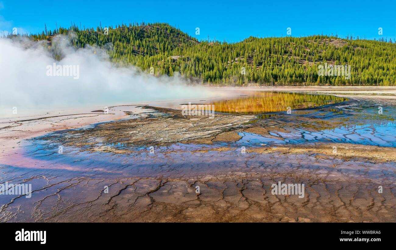 La zona circostante Grand Prismatic Spring, come Spesso vapore sorge la famosa primavera calda nel Midway Geyser Basin a Yellowstone N.P., STATI UNITI D'AMERICA. Foto Stock