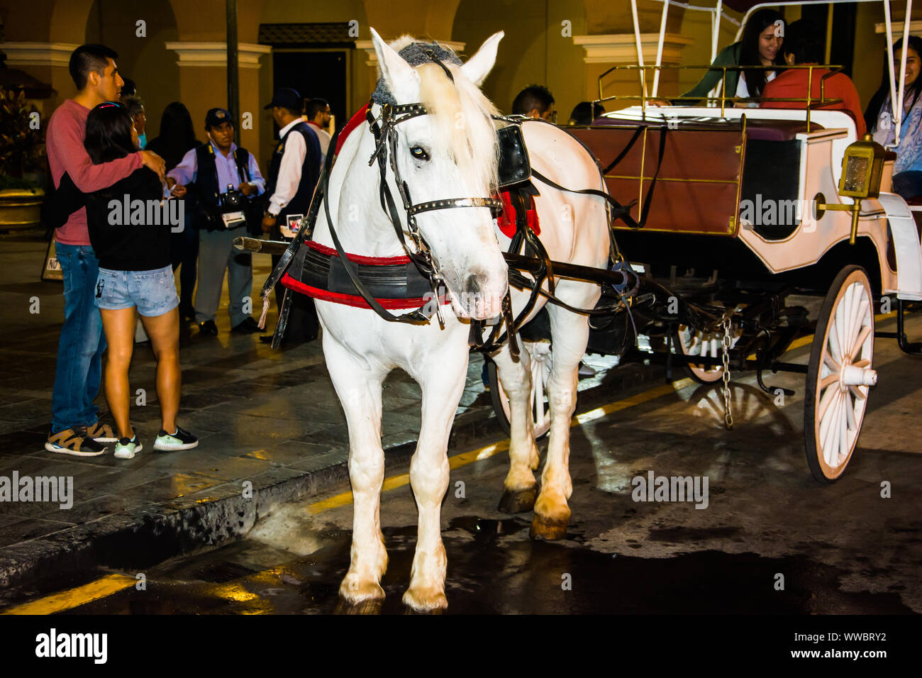 Cavallo tirando un auto in piazza Mayor plaza de armas a Lima in Perù Foto Stock