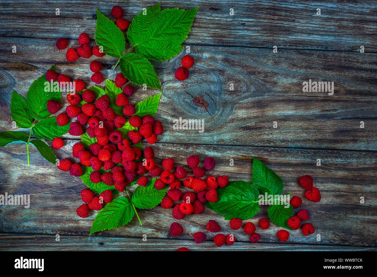 Lamponi maturi. Bacche. Una manciata di lamponi. Maturazione naturale di bacche organiche con peduncoli foglie verdi, vista dall'alto, laici piatta con copia spazio. Foto Stock