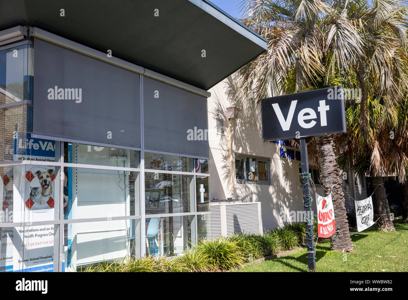 Australian Vet shop store hospital di Sydney, Nuovo Galles del Sud, Australia Foto Stock