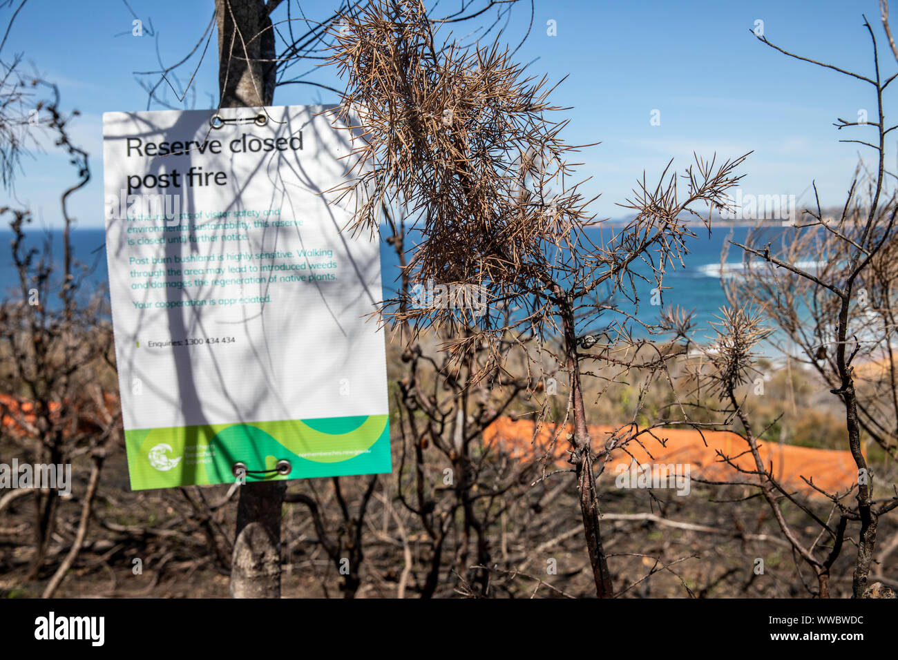 Sydney bush fire e vegetazione bruciata in riserva in Warriewood accanto alla costa di Sydney, Nuovo Galles del Sud, Australia Foto Stock