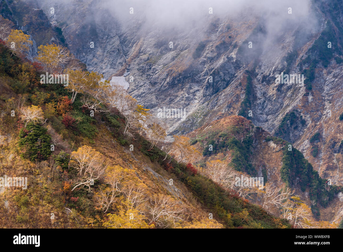 Paesaggio di autunno autunno di Hakuba Valley in Nagano Giappone Chubu Foto Stock