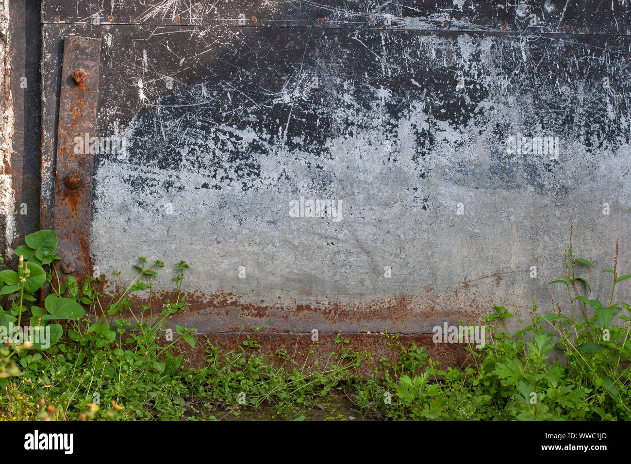 Abstract grunge background. Il lato inferiore sinistro della vecchia porta di garage. Graffi e ruggine. Grandi di ferro arrugginito cerniere con rivetti. Fondo in erba. Foto Stock