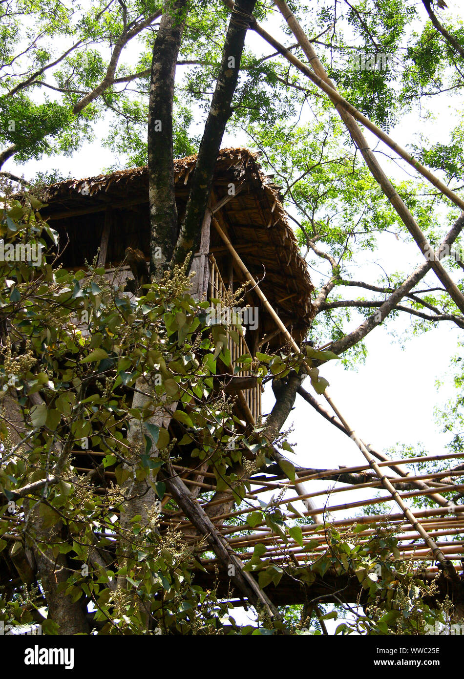 Costruzione di bambù nel villaggio Mawlynnong in Meghalaya Foto Stock
