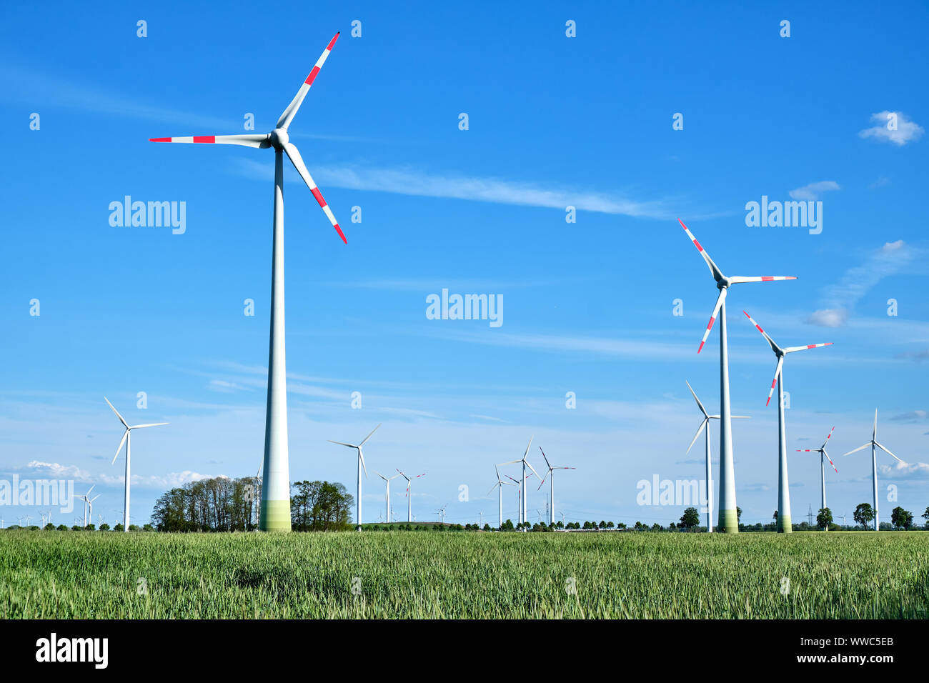 Moderni generatori di energia di vento in un cornfield visto in Germania Foto Stock