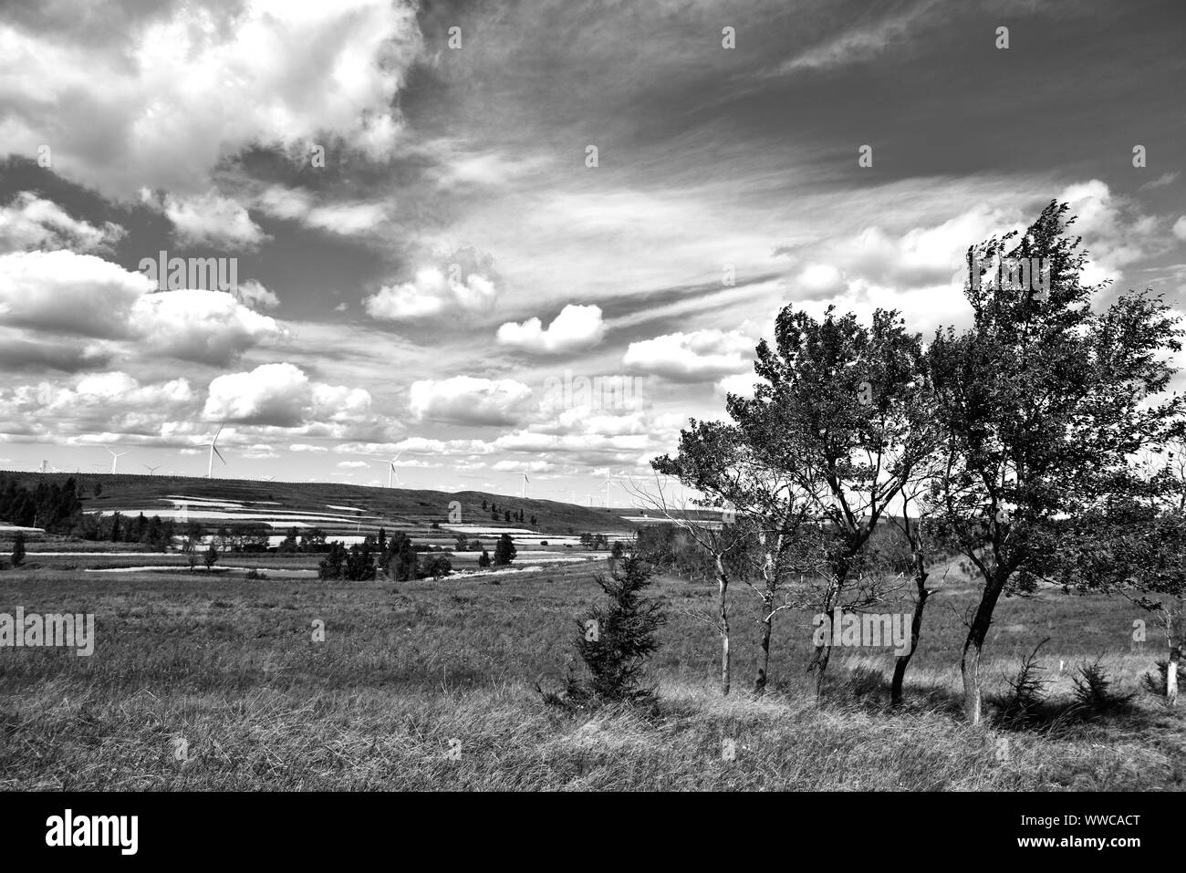 Paesaggio di steppa Foto Stock