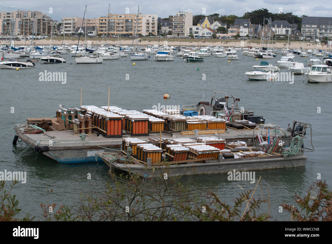 Preparazione di fuochi d'artificio su una chiatta in mare in un porto in Bretagna, Francia Foto Stock