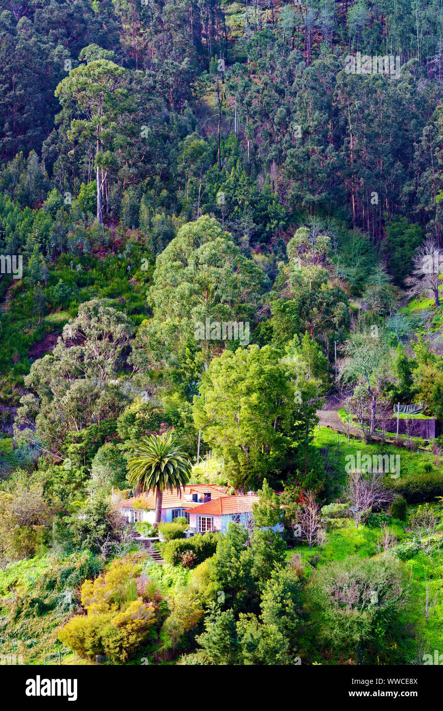 Una vista in elevazione del paesaggio collinare di Madera. Foto Stock