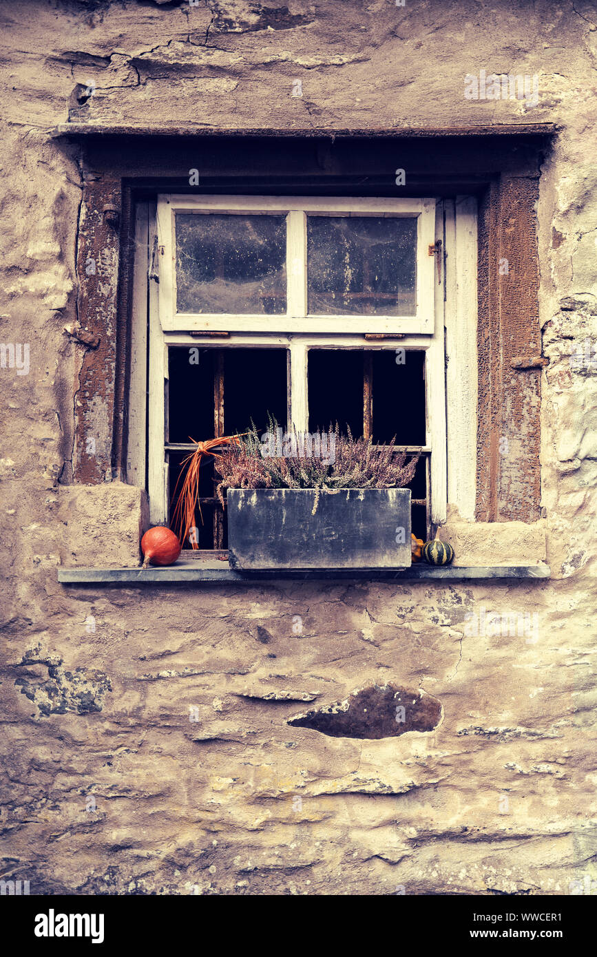 Vecchia finestra con decorazione di autunno Foto Stock