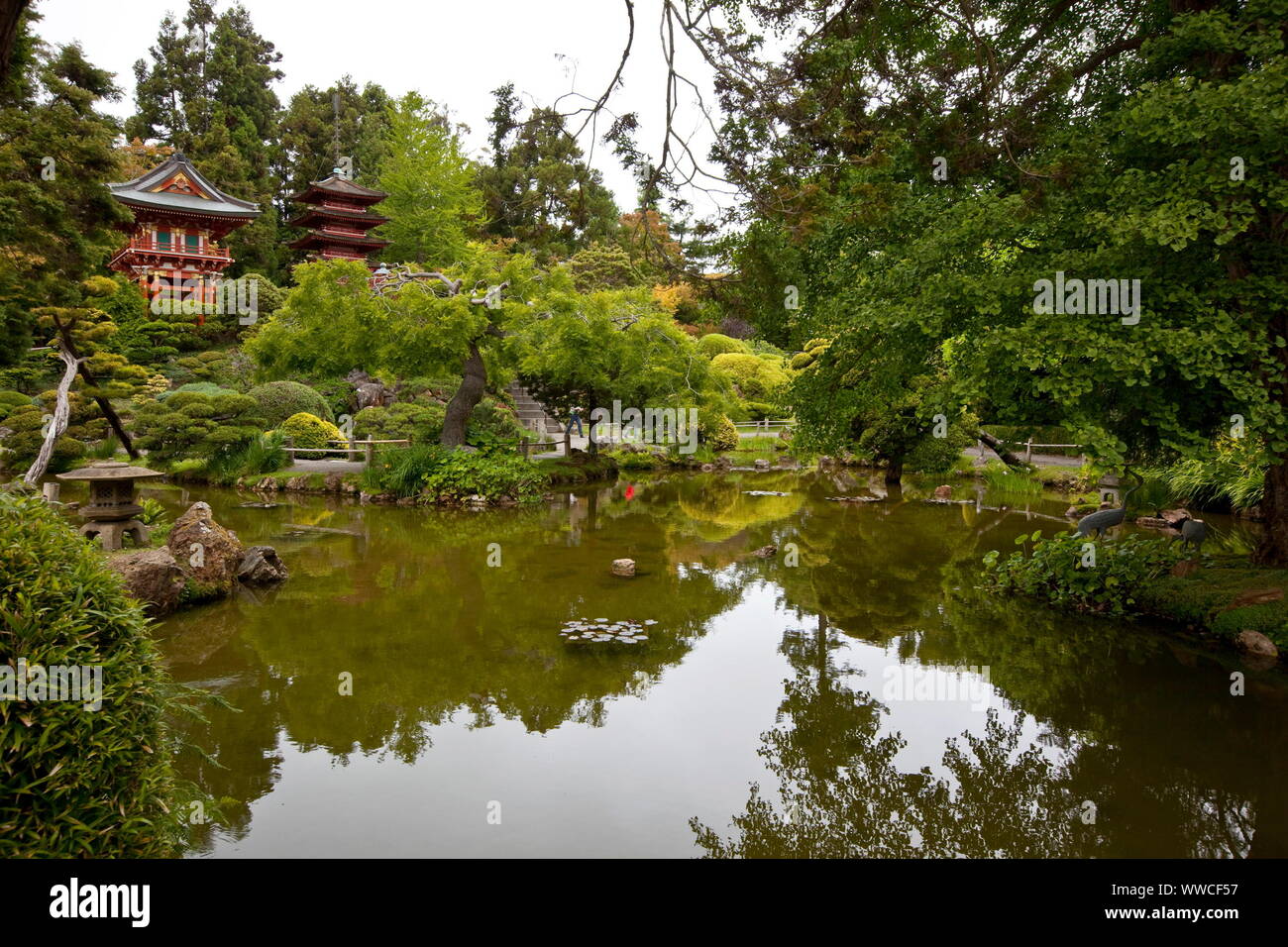 SAN FRANCISCO, CALIFORNIA Foto Stock