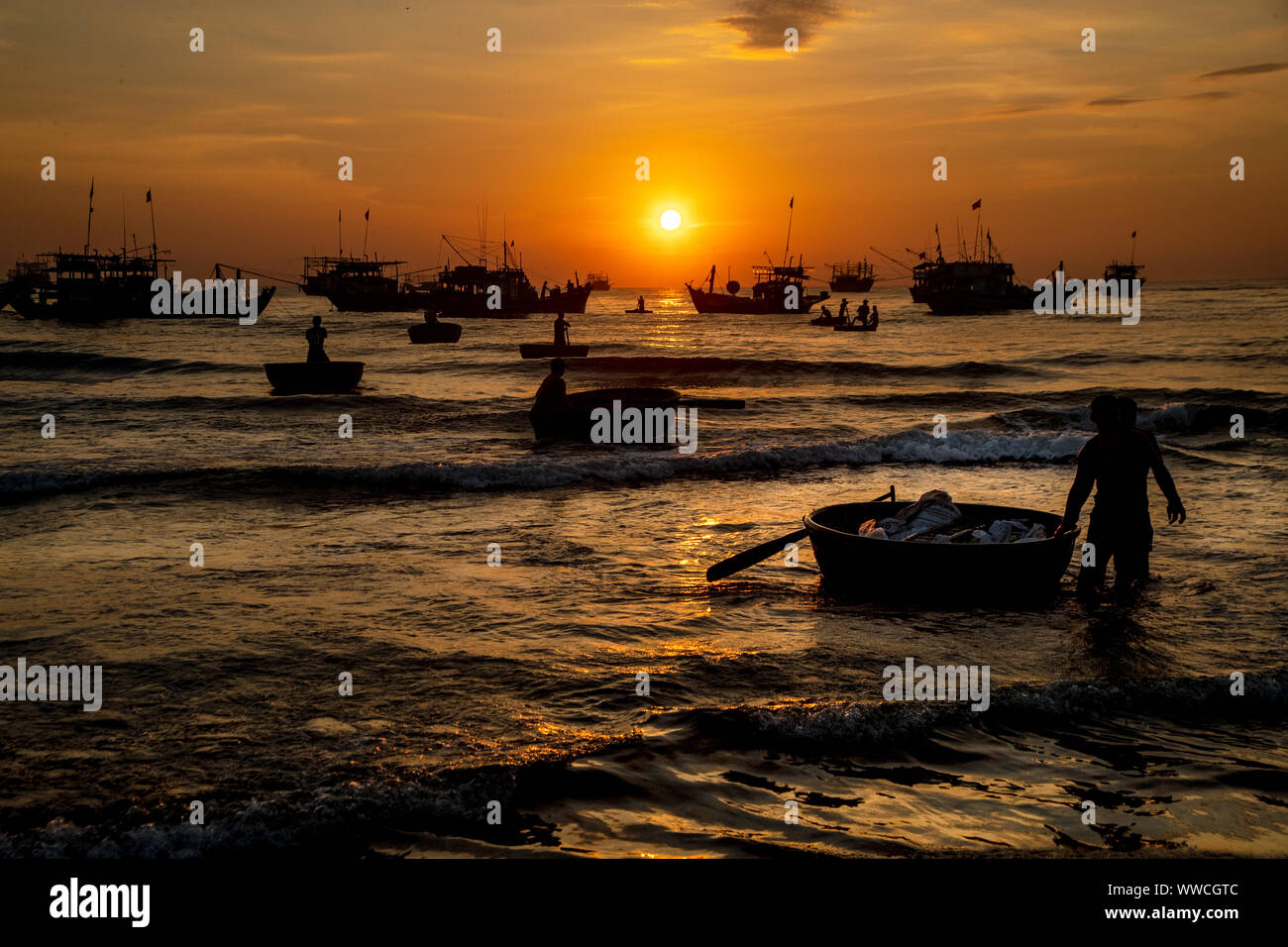 I pescatori di portare a riva di cattura in cesto imbarcazioni da imbarcazioni più grandi la camma ha Hoi An Vietnam Foto Stock