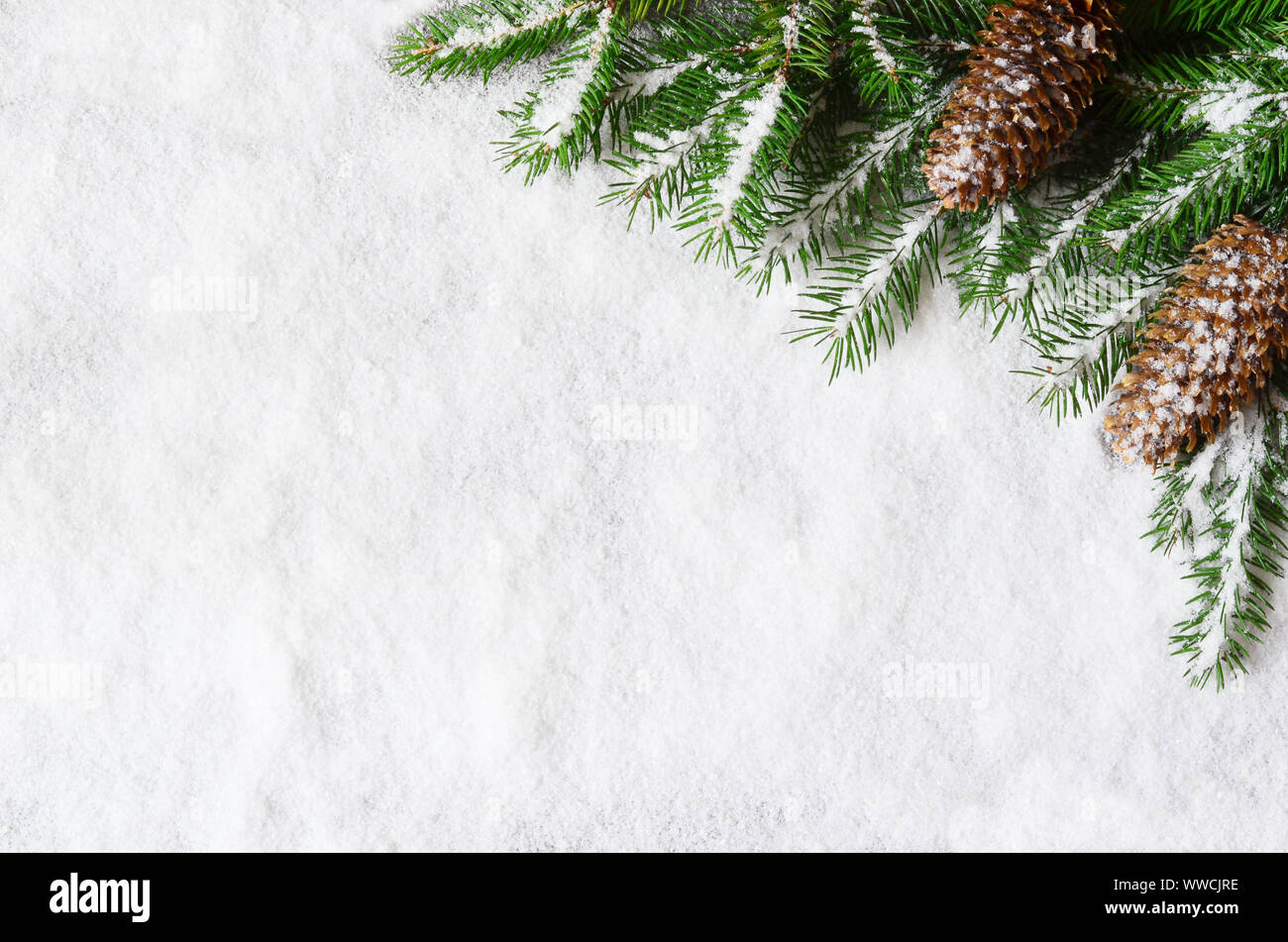 Sfondo di natale, verde rami di pino, coni sulla neve sullo sfondo. Composizione creativa di frontiera e di spazio copia, vista dall'alto. Anno nuovo, vacanze, c Foto Stock