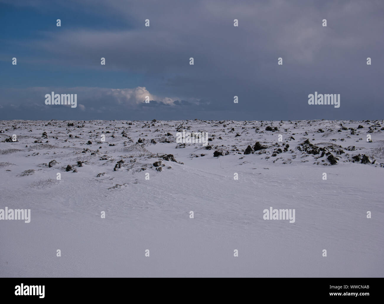 Coperte di neve campo in Islanda con pietre laviche in Marzo Foto Stock