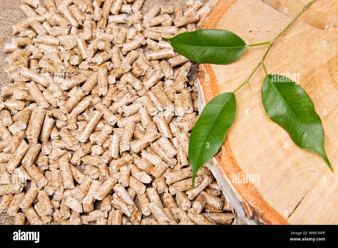 Pellet di legno, betulla e il ramoscello con foglie. La biomassa Pellets- energia a basso costo. Il concetto di produzione di biocarburanti Foto Stock