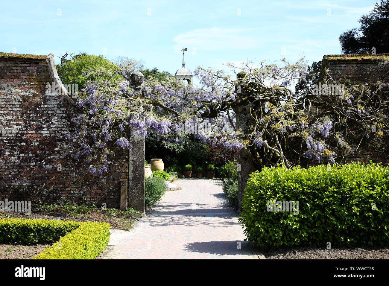 Il Lost Gardens of Heligan, Cornwall, Inghilterra Foto Stock