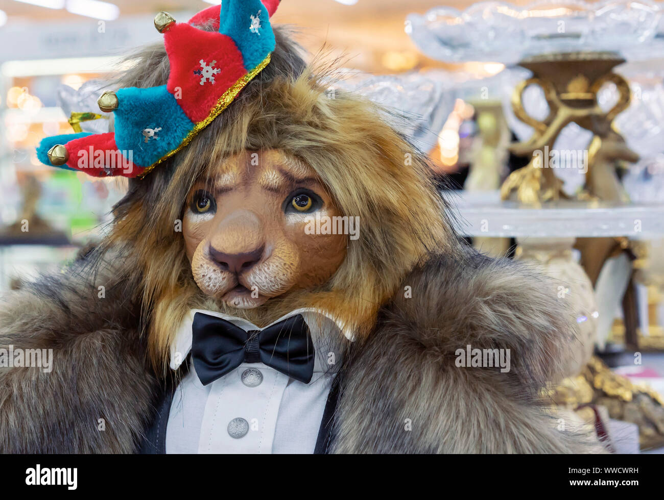 Il leone vestito di vestiti di re e la corona sulla sua testa Foto stock -  Alamy