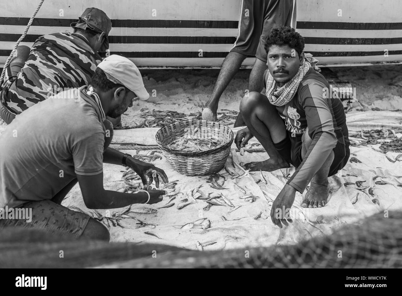Benaulim,Goa/India- agosto 2 2019: i pescatori locali di cernita e di vendere il pescato del giorno Foto Stock