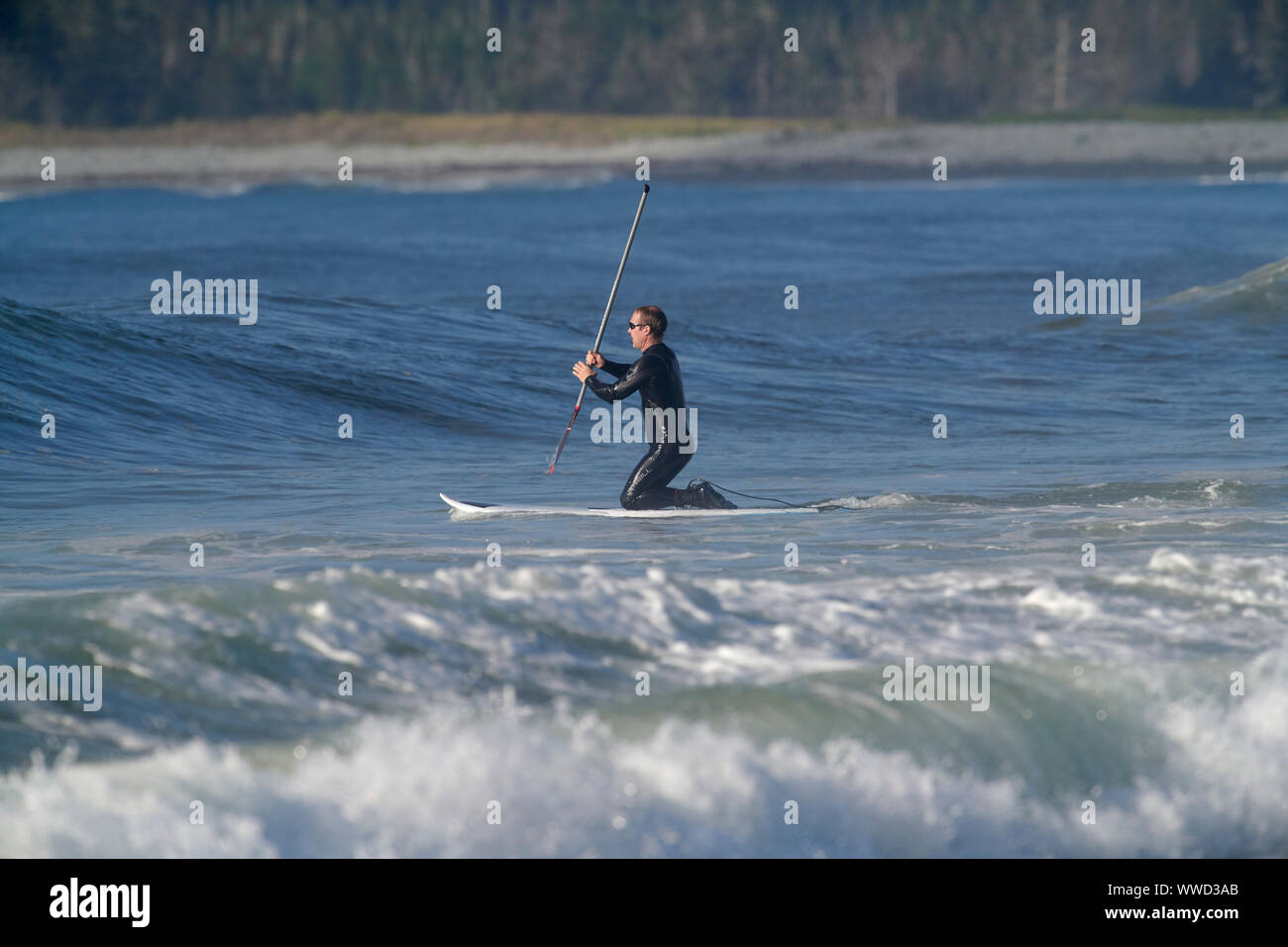 Stand Up Paddle boarder, Cherry Hill Beach, Nova Scotia, Canada Foto Stock