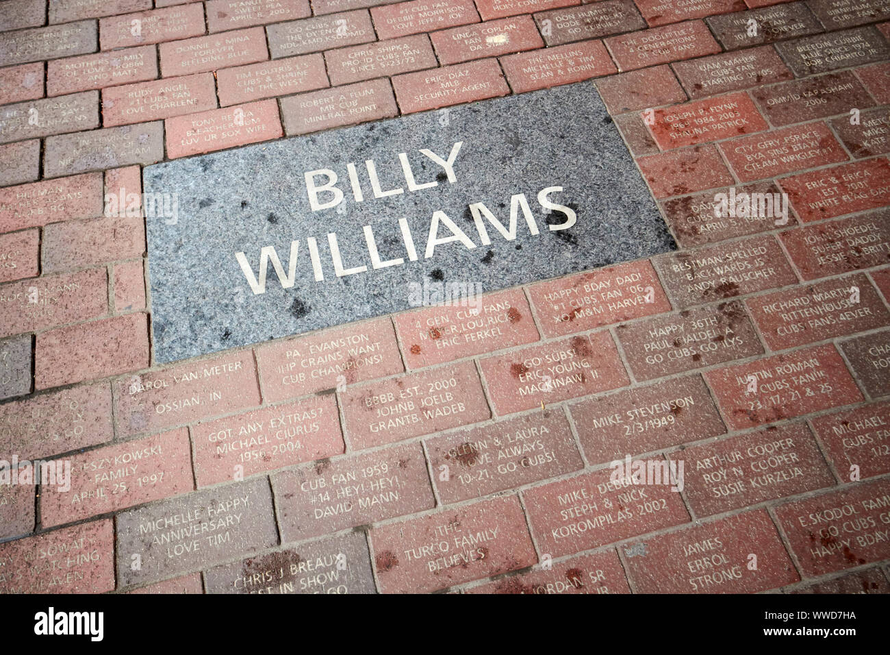 Billy williams denominato lastra di pavimentazione e la strada dei mattoni sponsorizzato da individui e sostenitori Wrigley Field Chicago Illinois USA Foto Stock