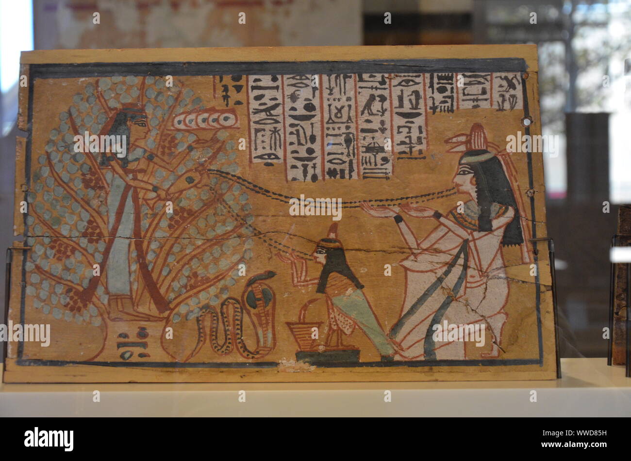 Berlino, Germania - Neues Museum di Berlino Foto Stock
