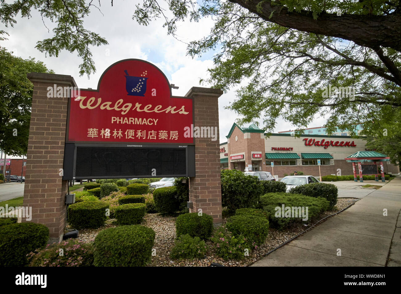 Walgreens farmacia con inglese e scrittura cinese chinatown Chicago Illinois USA Foto Stock