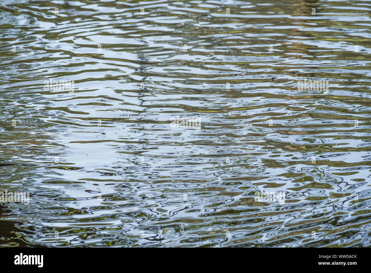 Riflessi d'acqua rpiiplied di alberi e piante a strapiombo nelle acque del fiume Fowey a Lostwithiel. Effetto ripple, acqua come merce. Foto Stock