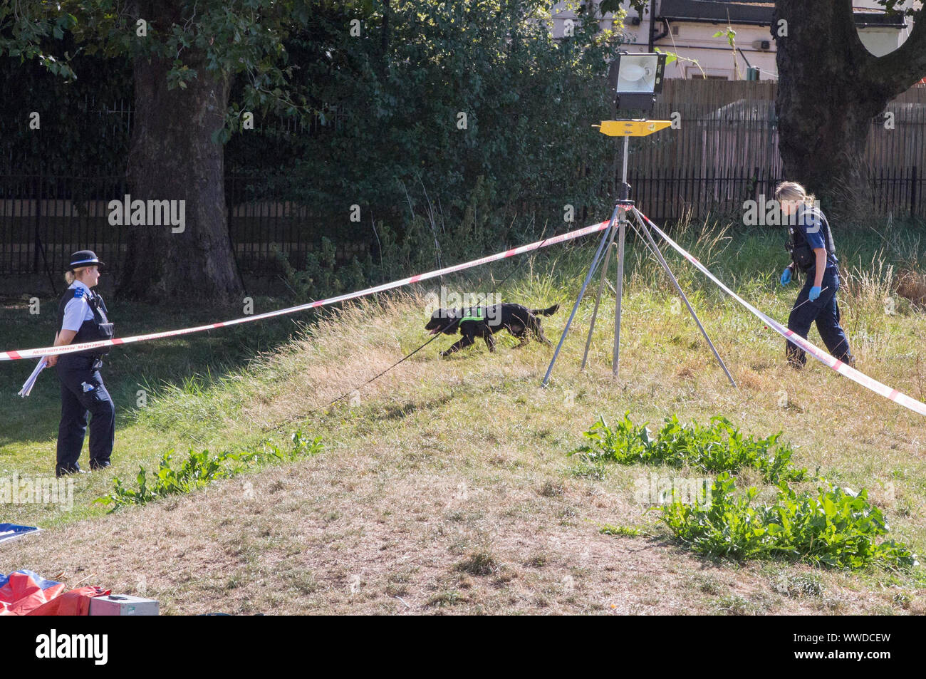 La polizia cerca nel parco del Cinquantenario, Edmonton, seguendo il fatale accoltellato di un 29-anno-vecchio uomo. Festa di compleanno gli ospiti per partecipare ad un party presso il vicino-da vecchi Edmontonians FC clubhouse, sat sul malintenzionato sospetti fino a quando la polizia è arrivata dopo l attentato di Londra Nord, una testimonianza ha rivendicato. Foto Stock