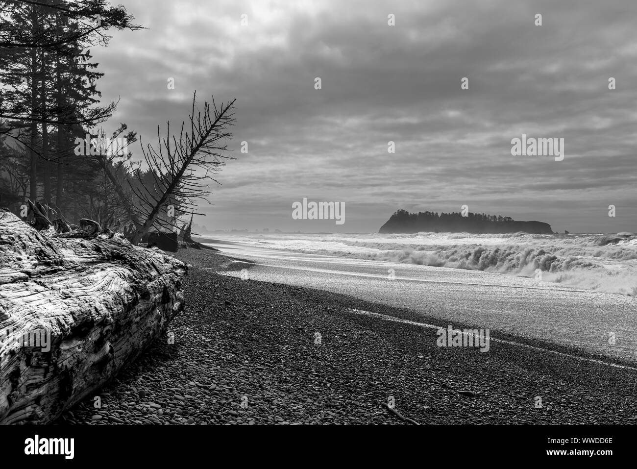 Il parco nazionale di Olympic, WA Foto Stock