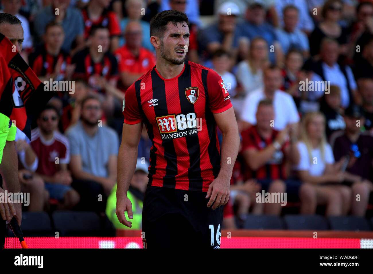 Bournemouth, Regno Unito. Xv Sep, 2019. Lewis cuoco di Bournemouth durante il match di Premier League tra Bournemouth e Everton presso la vitalità Stadium, Bournemouth, Inghilterra il 15 settembre 2019. Foto di Tom Smeeth. Solo uso editoriale, è richiesta una licenza per uso commerciale. Nessun uso in scommesse, giochi o un singolo giocatore/club/league pubblicazioni. Credit: UK Sports Pics Ltd/Alamy Live News Foto Stock