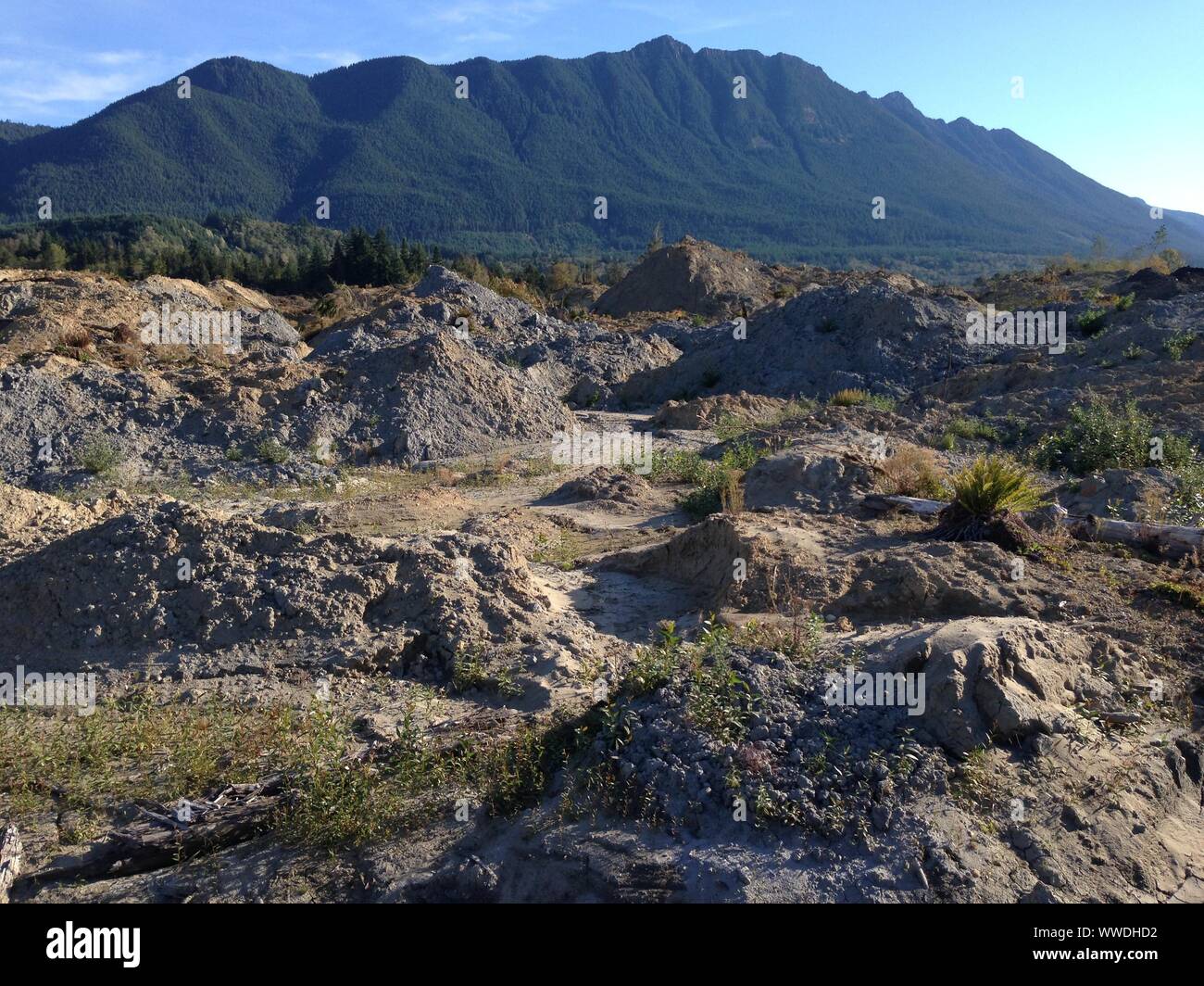 2014 Oso Landslide, North Fork Stillaguamish River Valley, Snohomish County, Washington, Stati Uniti Foto Stock