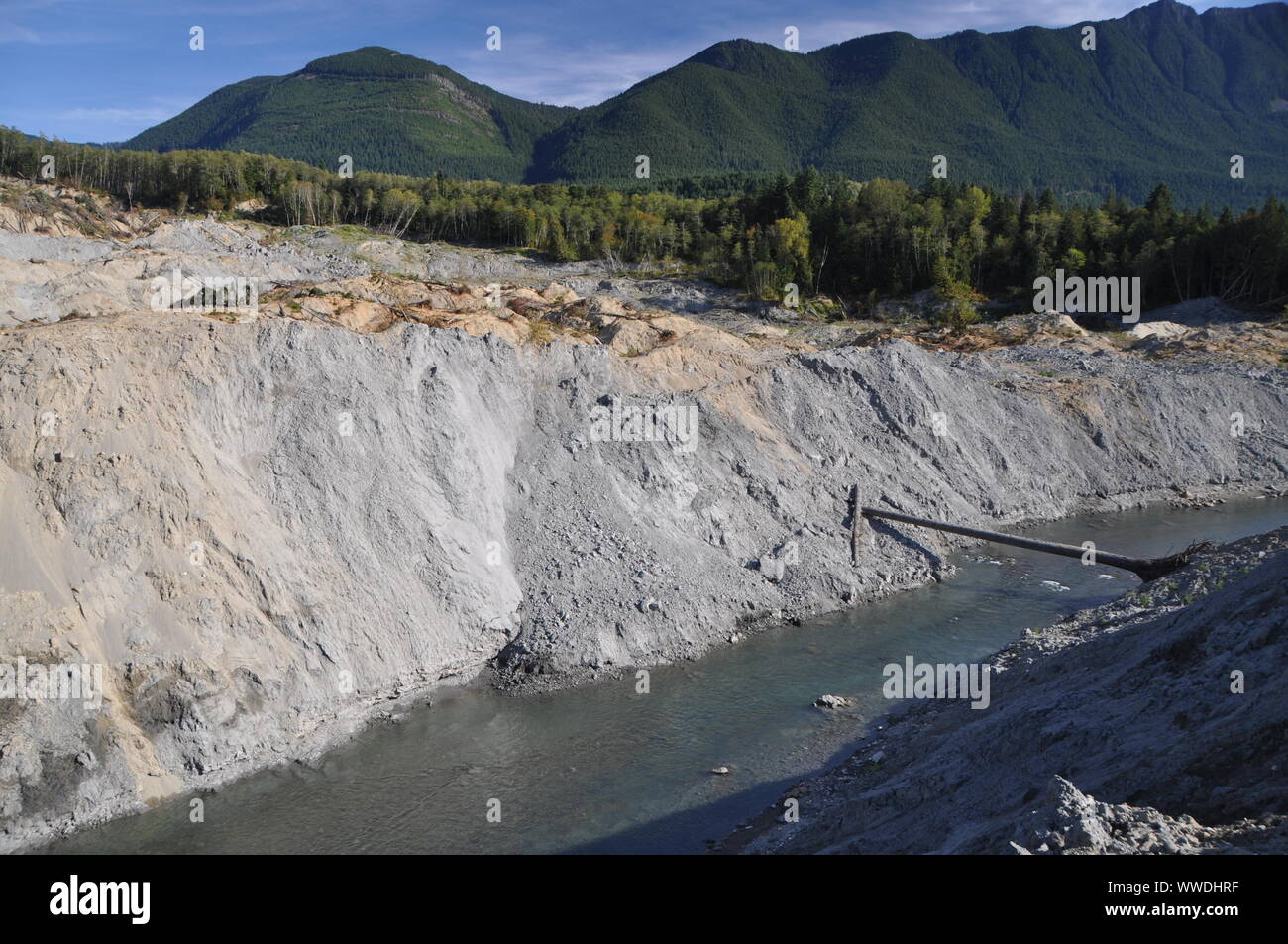 North Fork Stillaguamish River, dove ha tagliato attraverso il deposito di frana Oso 2014, Snohomish County, Washington, USA Foto Stock