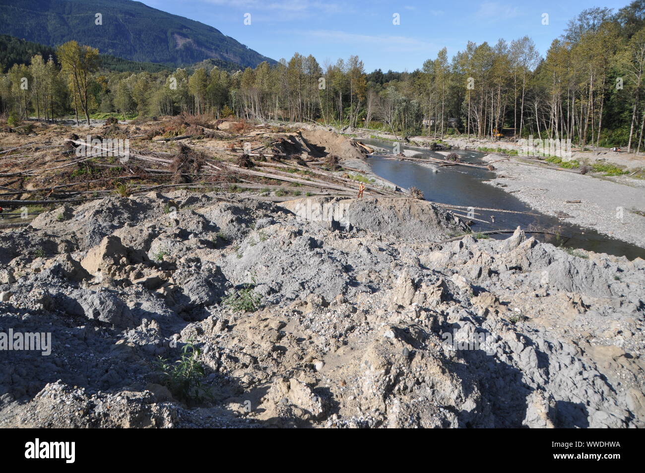 Margine laterale destro della mortale frana 2014 Oso, North Fork Stillaguamish River Valley, Snohomish County, Washington, USA Foto Stock