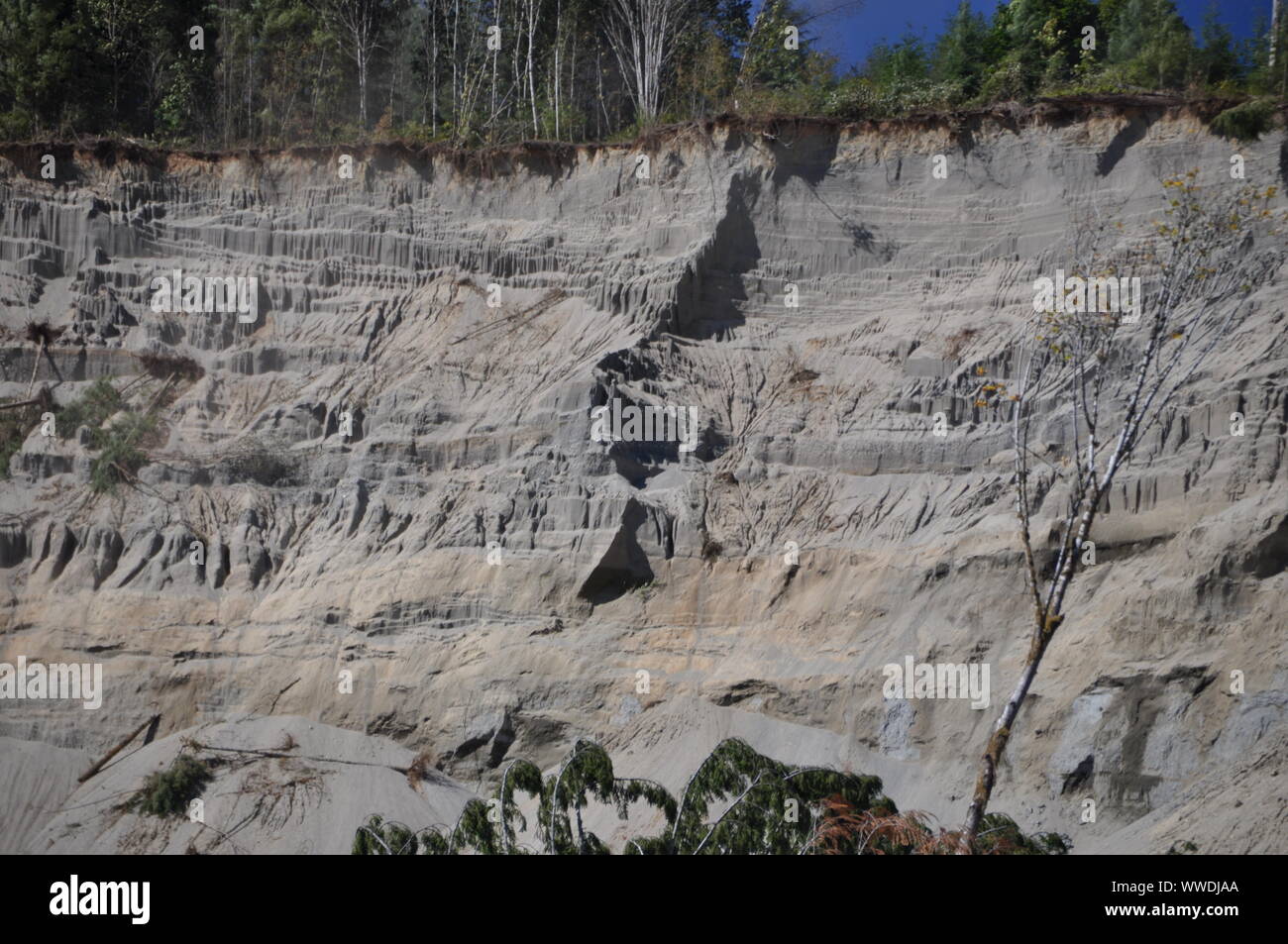 Scarpata della mortale frana 2014 Oso, North Fork Stillaguamish River Valley, Snohomish County, Washington, USA Foto Stock