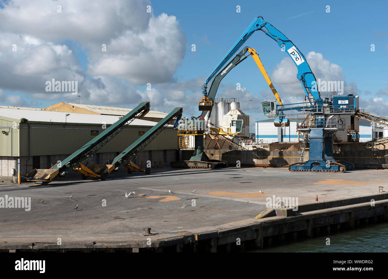 Porto di Poole, Inghilterra meridionale, Regno Unito. Settembre 2019. Mobile gru cingolate per il materiale sulla trasmissione delle procedure Dockside Wizard Foto Stock