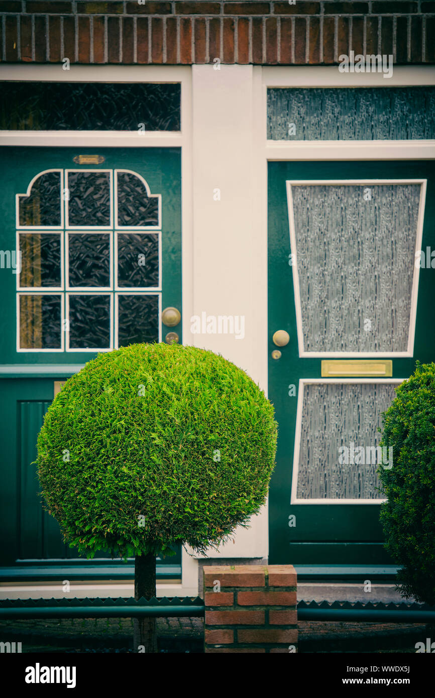Il verde delle porte anteriori di due case nei Paesi Bassi Foto Stock