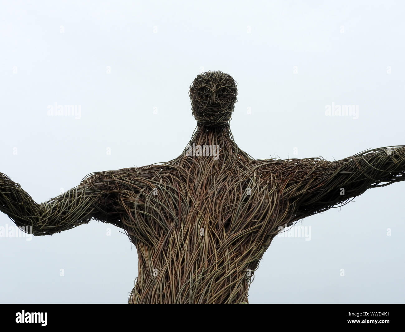 2019 -2019 immagine immagine - Il volto della nuova enorme Wickerman figura nel Festival Wickerman campo nei pressi di Dundrennan, Dumfries e Galloway. Foto Stock